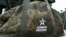 49698667