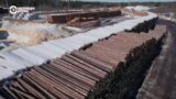 Неизвестная Россия: шведско-финские владельцы лесопильного завода в Импилахти заявили об уходе из РФ