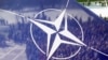 "Мы отдали инициативу противнику". Генерал НАТО в отставке – о том, почему Запад не может развернуть полноценную борьбу с Путиным