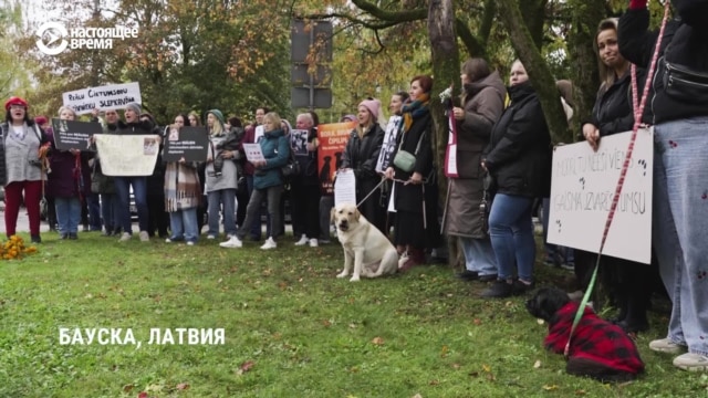 "Это было убийство!" В Латвии протесты после того, как охотник застрелил трех чужих собак