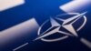 Америка: власти Финляндии объявили о поддержке вступления в НАТО