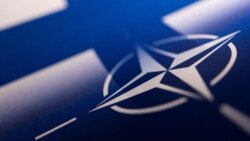 Америка: власти Финляндии объявили о поддержке вступления в НАТО