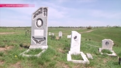 Кладбища домашних животных окружают Красноярск
