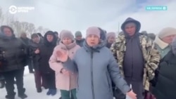 Что происходит в Новосибирской области, где фермеры протестуют против забоя скота