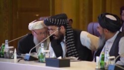 Переговоры афганских властей и талибов о мире провалились