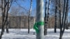 На жительницу Санкт-Петербурга составили два протокола из-за зеленой ленты, которую посчитали "символом украинских националистов"