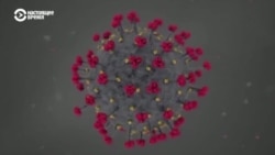 Новый штамм коронавируса "омикрон": теперь без потери обоняния
