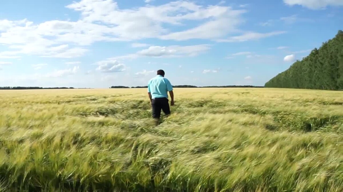 Поле спас