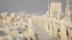 Америка: последствия рекордных холодов