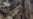 16x9 Image