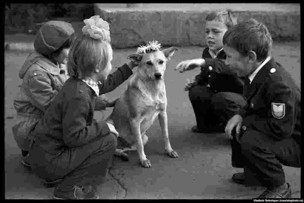 Школьники надевают венок на собаку в первый день школы. Новокузнецк, 1983 год