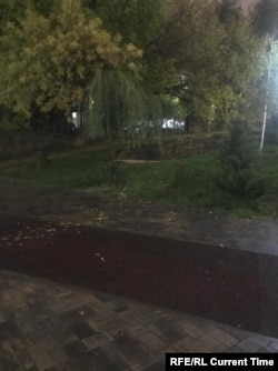 Одно из первых фото провала в сквере Пахмутовой (вверх от центра кадра, под деревом)