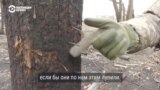 "Иглы такие. Ранения от них очень тяжелые, человек не сразу умирает". Спецрепортаж об обстрелах приграничной зоны между РФ и Украиной