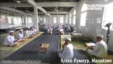 Ее Величество Школа