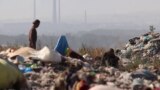 Ecocide