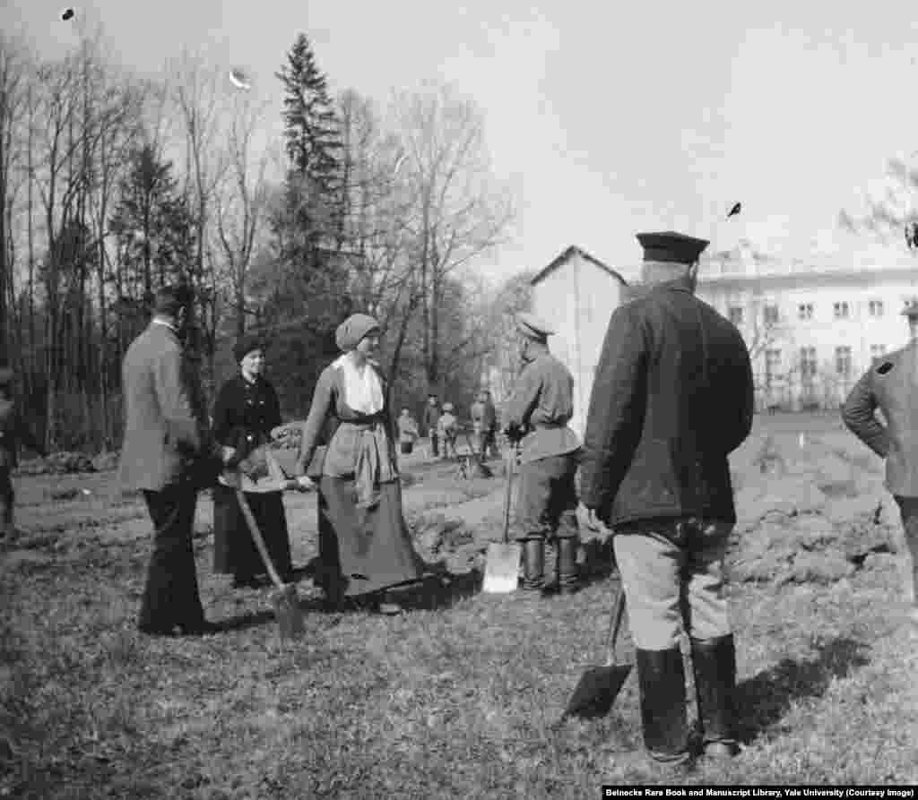 В первые месяцы после революции 1917 года Татьяна Романова помогала копать огороды, находясь в плену у революционеров