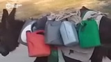 Жители Куляба жалуются на отсутствие в городе воды: некоторые запрягают ослов и возят воду из озера сами