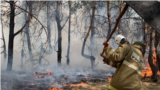 "Леса, поля, все горит!" Масштабный пожар в Костанайской области Казахстана