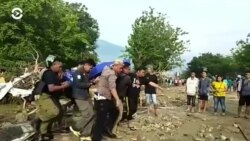 Новости. Коротко