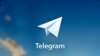 В России из-за теракта в Париже предлагают запретить Telegram