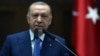 "Эрдоган попытается по максимуму использовать ситуацию". Эксперт-международник о том, почему Турция против Финляндии и Швеции в НАТО