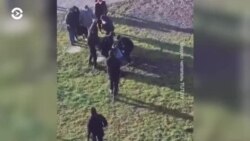 Новости. Коротко