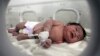 В Сирии после землетрясения из-под завалов спасли новорожденную девочку. Она была связана пуповиной с мертвой матерью