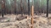 В лесах под Изюмом обнаружили массовые захоронения, оставшиеся после отхода российских войск