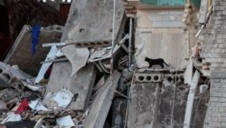 Утро: контратака украинских войск, бои за Северодонецк, Зеленский и Путин