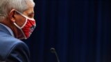 Америка: Энтони Фаучи дает показания в Конгрессе