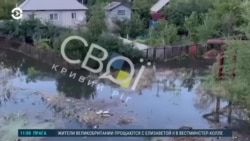 Новости. Коротко
