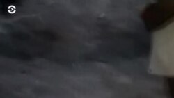 Новости. Коротко