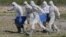 RUSSIA -- Grave diggers wearing personal protective equipment carry a coffin while burying a coronavirus disease victim in the special purpose section of a graveyard on the outskirts of St. Petersburg, May 25, 2020
