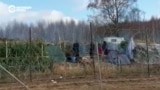 Около 150 мигрантов пытались прорваться в Польшу из Беларуси