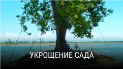 "Укрощение сада". Режиссер: Саломе Джаши