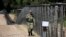 BELARUS -- A Belarusian serviceman at the Tserabun border outpost on the Polish border, in the Brest region, May 23, 2019