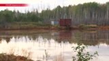 Жители Свердловской области заявили об экологической катастрофе