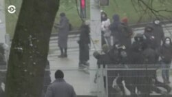 Новости. Коротко