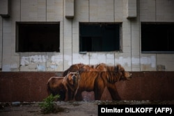 На фотографии, сделанной 29 мая 2022 года в городе-призраке Припять, расположенном недалеко от Чернобыльской АЭС, запечатлено граффити с медведями. Фото AFP