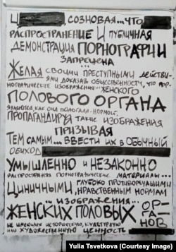 Рисунок Юлии Цветковой с цитатами из обвинительного заключения по ее делу