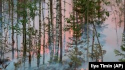 Пожар в Пряжинском районе Карелии, 21 июля 2021 года