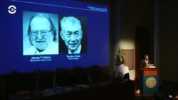 Новости. Коротко