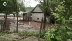 Новости. Коротко