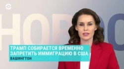 Новости. Коротко