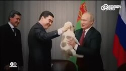 Смотри в оба: день рождения шефа