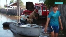 Новости. Коротко