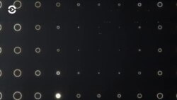 Судья Чаус рассорил спецслужбы. Вечер с Игорем Севрюгиным