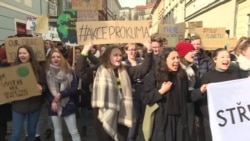Из-за чего несколько тысяч чешских студентов вышли на митинг вместо занятий
