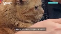 "Хозяевa в Еврейской больнице, кота нашли в соседнем дворе": Россия в выходные ударила по Одессе ракетами и дронами 