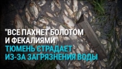 "Вода из крана нереально воняет!" В Тюмени в реку попали стоки канализации, но власти уверяют, что опасности нет